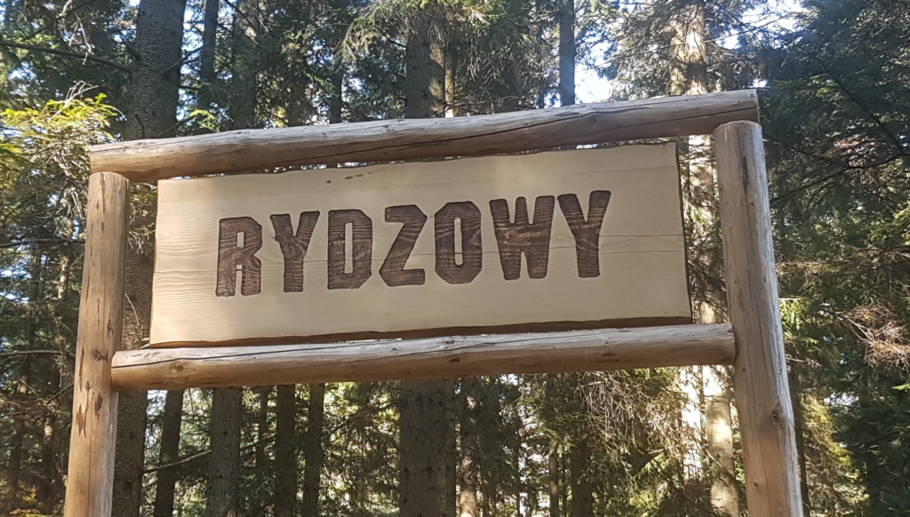 Rydzowy - bramka